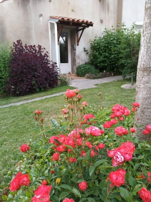 Ferienhaus 80 M2 Au Calme Et 20 Mn De La *